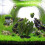 1Pc Artificial Plastic Aquatic Grass Fish Tank Adornment Green Decor 5