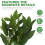 1Pc Artificial Plastic Aquatic Grass Fish Tank Adornment Green Decor 6