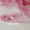400Pièces Étiquettes Blanches Autoadhésives Papier Pour Mariage 11