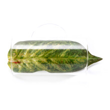 Bettas Breeding Natural Habitats Creation Professional Aquariums Accessory for Aquariums Enthusiasts
