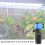 Compacts Internal Turtles Tanks Filter Multiunction Internal Aquariums Filter for Home and Office 2