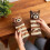 Cozy3D Knit Animal Slipper Κάλτσες, Χαριτωμένες Λούτρινες Κάλτσες Αγκαλιάς με Ζώα, Αστεία 4