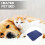 Plaid Chauffant Pour Animaux En Tissu Durable 4