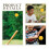 8Pcs Lightweight PU Sponge Softballs for Baseball Practice 8