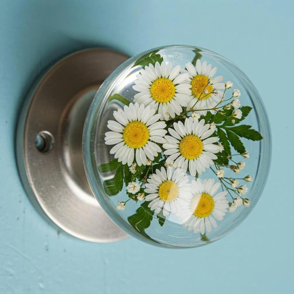 Nature-Inspired Transparent Animal Doorknob, Crystal Glass Handle For Interior Doors Â Compatible With Standard Door Prep 9405492076358