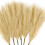 6 τεμάχια σύνθεση από ψεύτικο γρασίδι Pampas - 18"/45cm τεχνητά αφράτα, φουσκωτά στελέχη 1