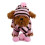 Conjunto de gorro y bufanda de punto para perro 1