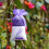 Lavender Scented Drawstring Pouches 10pcs 2