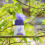 Lavender Scented Drawstring Pouches 10pcs 4
