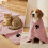 Coral Fleece Pet Towel Extra Large Microfiber 4