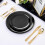 Platos desechables de plástico negro, 100 unidades 6