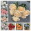 9-Piece Artificial Silk Rose Bouquet – White, Pink, Blue, 5