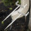 Downspout Bracket Pipe Holder Sturdy Insert Mount Adjustable Width for Efficient Rainwater Drainage and Gutter Systems 7