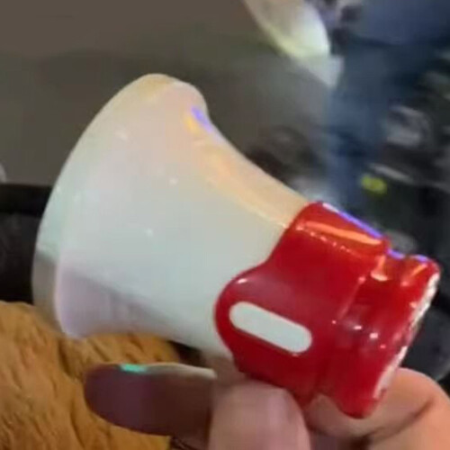 Portable Megaphone with Voice Recorder 2 pcs 2
