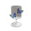 Verre à vin papillon 3D – Gobelet en borosilicate, 250 ml 1