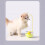 Jouet interactif pour chat avec circuit à billes et herbe à chat 1