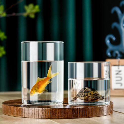 Glaszylindervase, klar, 2,56 Zoll Durchmesser 2