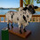 Spildsikker cocktaildispenser Cattle Design 1 enhed 4