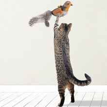 Jouet pour chat avec sons d'oiseaux réalistes, plumeau interactif avec clochette, cordelette de suspension ajustable pour chats d'intérieur, poids
