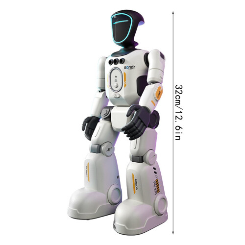 RC Gesture-Sensing Robot Toy, Interactive Walking Singing 2