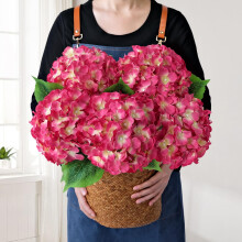 Hortensias artificiels rose magenta, lot de 5,5 cm (20 pouces), fleurs artificielles réalistes avec tiges pour bouquets et décoration intérieure.