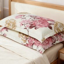 Lot de 2 housses de coussin ultra douces et respirantes (76 x 48 cm), jolies taies d'oreiller décoratives pour la chambre à coucher