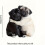 Ακρυλικός διαχύτης αυτοκινήτου Pug Clip2D με χαριτωμένο σχέδιο 2