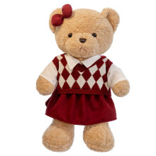 Peluche Ours en Peluche Couple pour la Saint-Valentin, 45 cm, Douce et Confortable, Décoration Intérieure, Cadeau Romantique pour la Saint-Valentin
