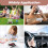Portable Bluetooth CD Player Hi-Fi Sound1Unit 8