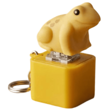 Παιχνίδι Fidget με βάτραχο Quacking, επαναφορτιζόμενο με φώτα
