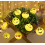Christmas Light String, 3m 20LED Funny Expression Light String Battery Operated LED String Lights for Outdoor Indoor Garden String Lights 4