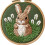 Κιτ βελόνας κεντήματος με σχέδιο Baby Brown Rabbit για αρχάριους – Σετ κεντήματος με 1