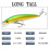 2PC100mm7g Πλωτά Σκληρά Δολώματα για Ψάρεμα, Wobbler Crankbaits, Δολώματα για Ψάρια 4