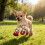 Dog Boots Waterproof Skidproof Warm Protective 4 Pcs 6