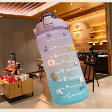 Gourde de 1,9 L (64 oz) avec repères horaires, étanche et sans BPA, en Tritan givré, avec paille et poignée – Idéale pour le fitness, la salle