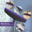 Set scopa e paletta viola con tergivetro in silicone51 3