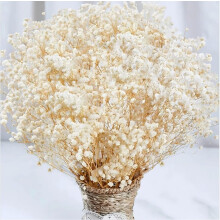 4000+ Dried Baby's Breath Bulk – 17" Ivory Gypsophila, Vase Filler, Wedding & Home Decor, DIY Crafts, Compatible with Floral Arrangements