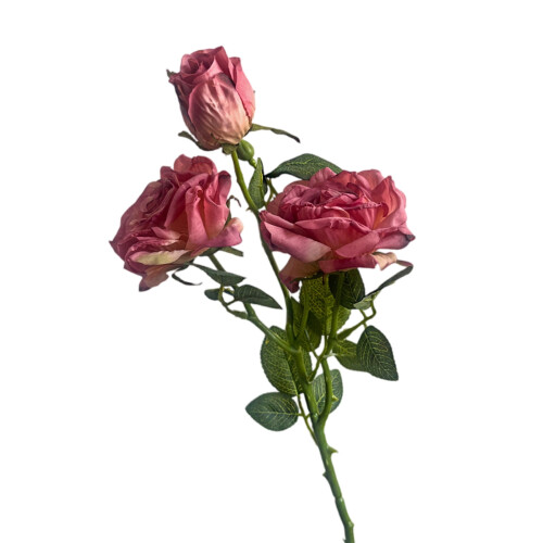 Sidenkålrosbunte persika-rosa 3 stjälkar