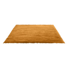 Fluffy Shag Area Rugs Soft Fuzzy Shaggy Rugs for Girls Bedroom Kids Room Carpet Furry Throw Dorm Rug 31 x 19 Inches