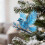 Vogel-Acryl-Weihnachtsbaumschmuck (1 Stück) 6