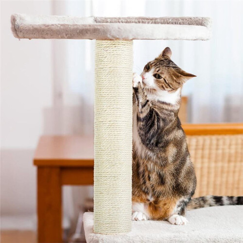 2 Peças M8 Poste de Arranhador para Gatos, Poste de Substituição para Árvore de Gato de Sisal de 15,7 X 3,1 Polegadas com Parafusos 1