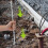 Ground Rod Kit Iron Silver 1Pack for Electric Fence 7