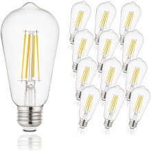 Lot de 12 ampoules LED Edison E26 6W 5000K ST58