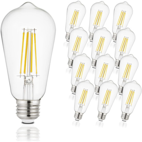 Lot de 12 ampoules LED Edison E26 6W 5000K ST58