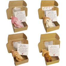 Conjunto de 4 Mini Ursos de Pelúcia Pocket Hug