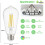 Lot de 12 ampoules LED Edison E26 6W 5000K ST58 2