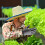 Θερμο γάντια Saker Premium για άνδρες: Αδιάβροχα, Αντιανεμικά, Θερμομονωτικά από φλις, 3