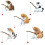 Aquarium Visbeeldjes Set – Hars Decoraties voor 1