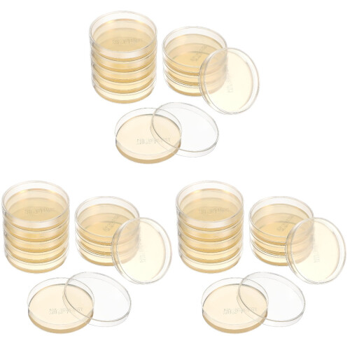 Conjunto de 30 placas de Petri com ágar pré-preparado para experimentos científicos.
