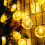 Lemon String Lights 2m 10 LED Battery Powered 1